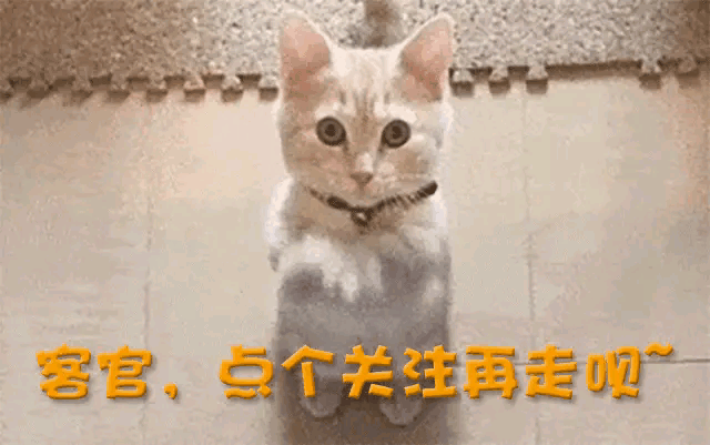 逊于小赵