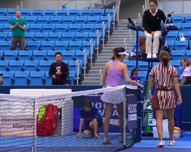 关键误判致, 盘裁判却在